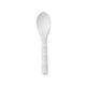 Compostable Sugarcane Spoon